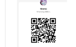 Momo WhatsApp QR